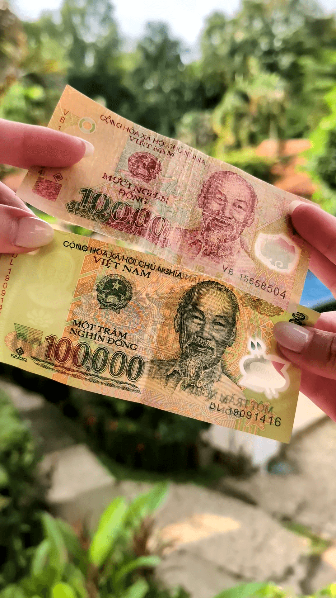 Vietnamesisches Geld